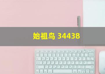 始祖鸟 34438